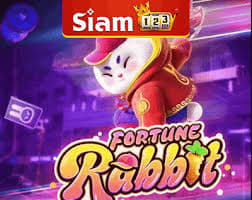 sinais fortune rabbit telegram ícone