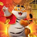 tiger fortuna - Slots Casino ícone